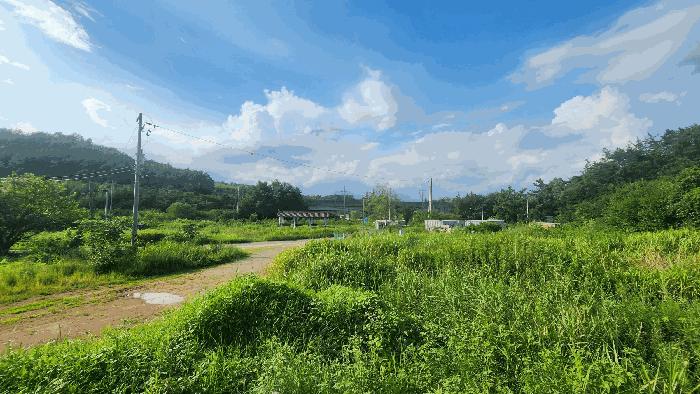 전라남도 순천시 대대동 1400 전 경매 사진 2