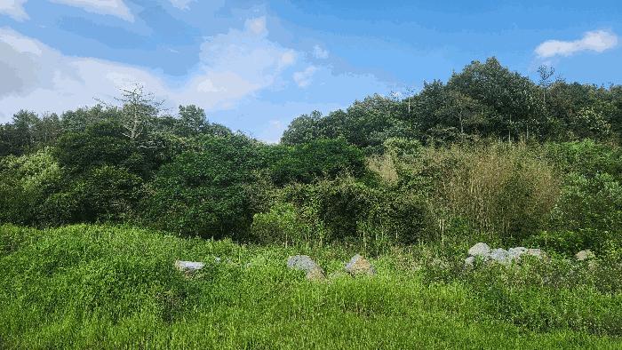 전라남도 순천시 대대동 1400 전 경매 사진 4