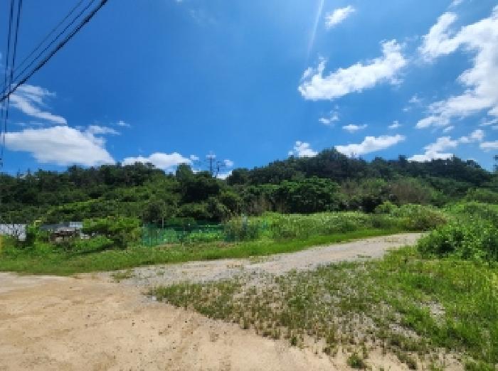 전라남도 순천시 대대동 1401 전 경매 사진 5