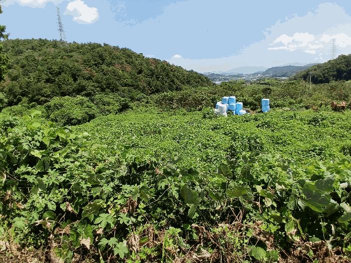 전라남도 여수시 율촌면 산수리 1445 전 경매 사진 1
