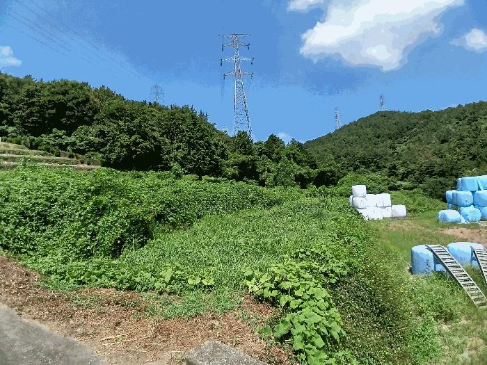 전라남도 여수시 율촌면 산수리 1445 전 경매 사진 2