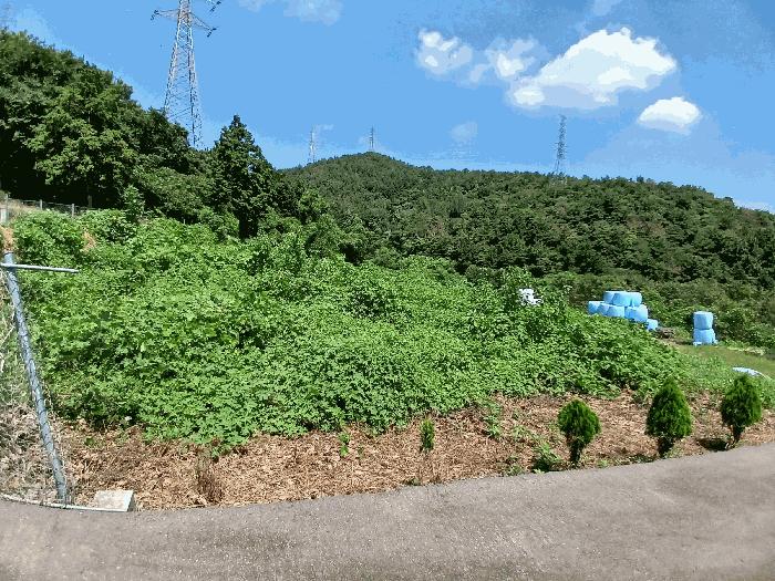 전라남도 여수시 율촌면 산수리 1445 전 경매 사진 4