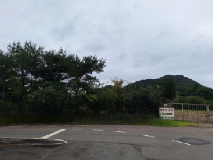 전라남도 광양시 다압면 신원리 산123-11 임야 경매 사진 16