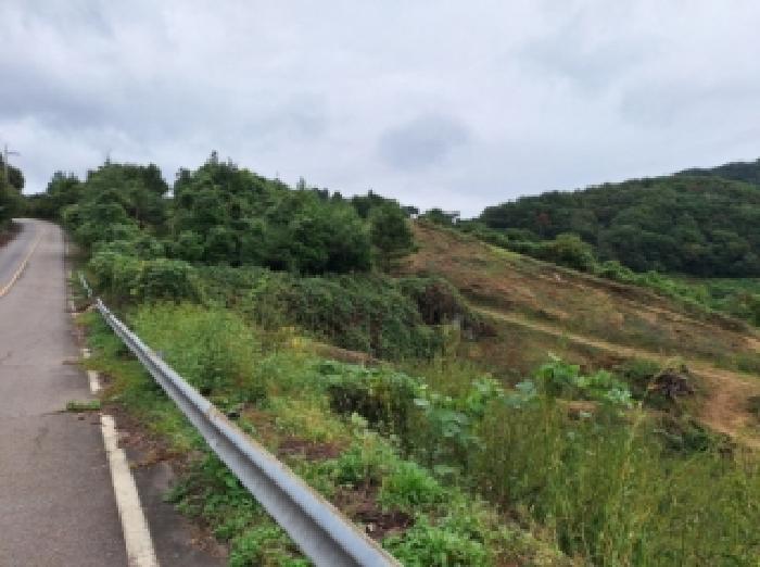 전라남도 광양시 다압면 신원리 산123-11 임야 경매 사진 18