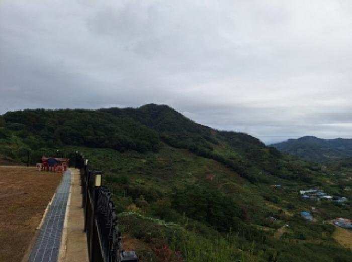 전라남도 광양시 다압면 신원리 산123-11 임야 경매 사진 20