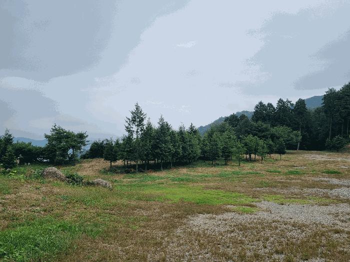 전라남도 광양시 다압면 신원리 산123-11 임야 경매 사진 3