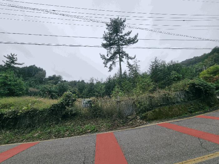 전라남도 광양시 다압면 신원리 산123-11 임야 경매 사진 6