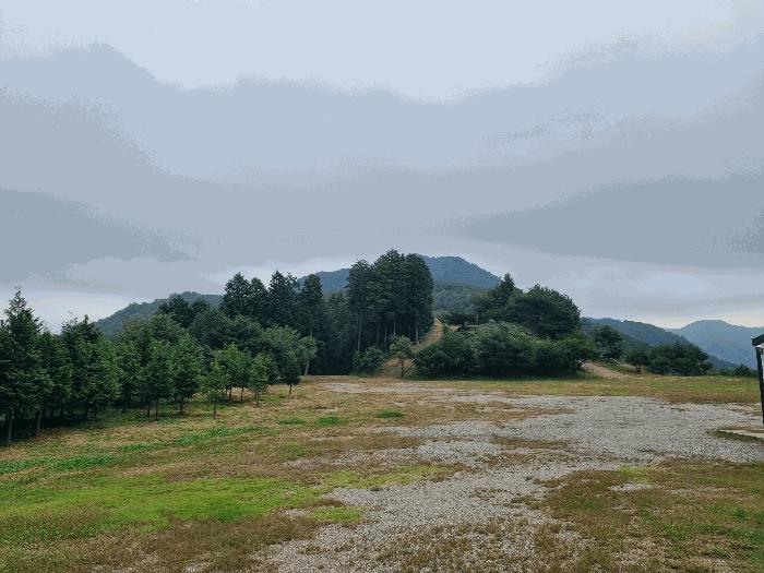 전라남도 광양시 진상면 비평리 산149 임야 경매 사진 5