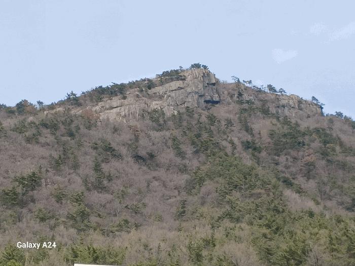 전라남도 여수시 임야