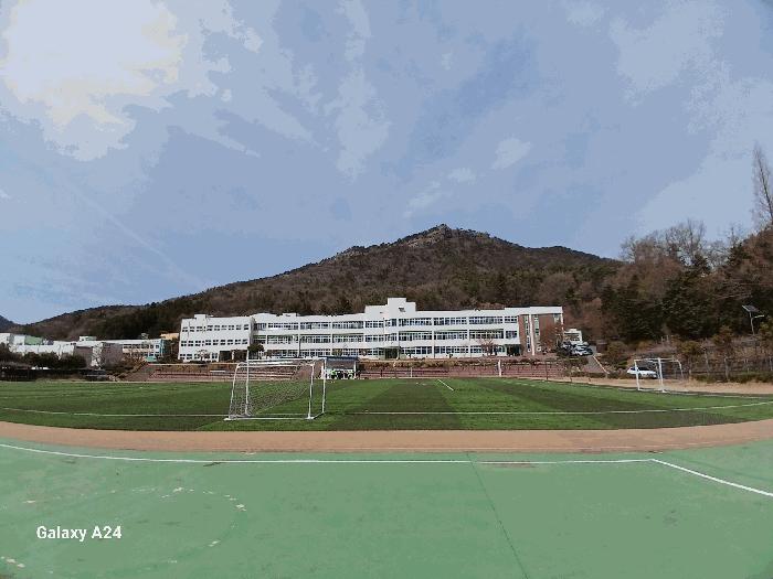 전라남도 여수시 봉계동 산141 임야 경매 사진 2