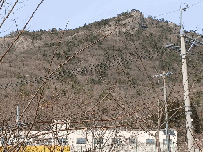 전라남도 여수시 봉계동 산141 임야 경매 사진 3
