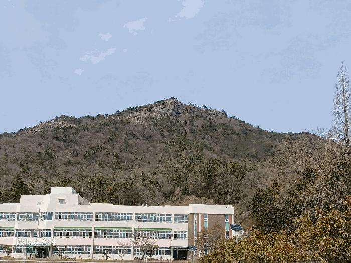 전라남도 여수시 봉계동 산141 임야 경매 사진 4