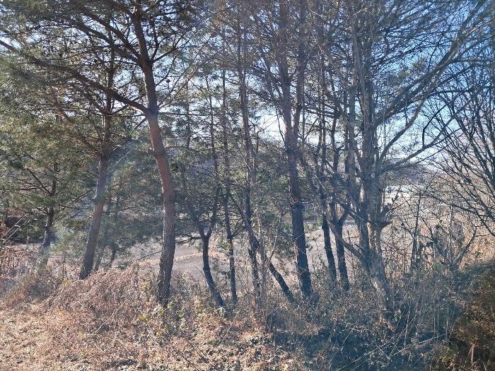 전북특별자치도 진안군 마령면 덕천리 1669 창고 경매 사진 21