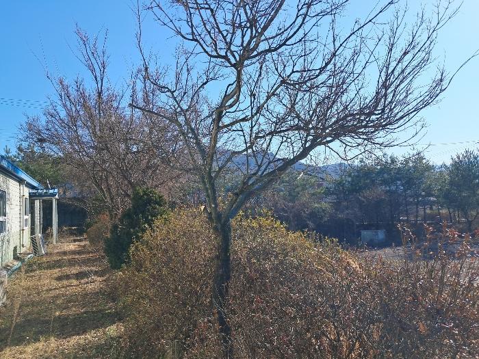 전북특별자치도 진안군 마령면 덕천리 1669 창고 경매 사진 36