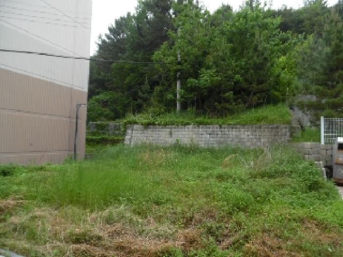 전북특별자치도 전주시 완산구 평화동1가 593-33 임야 경매 사진 10