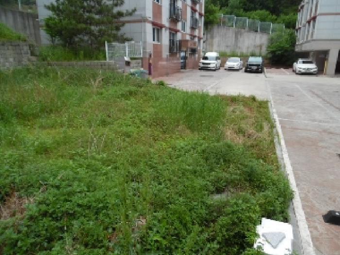 전북특별자치도 전주시 완산구 평화동1가 593-33 임야 경매 사진 8