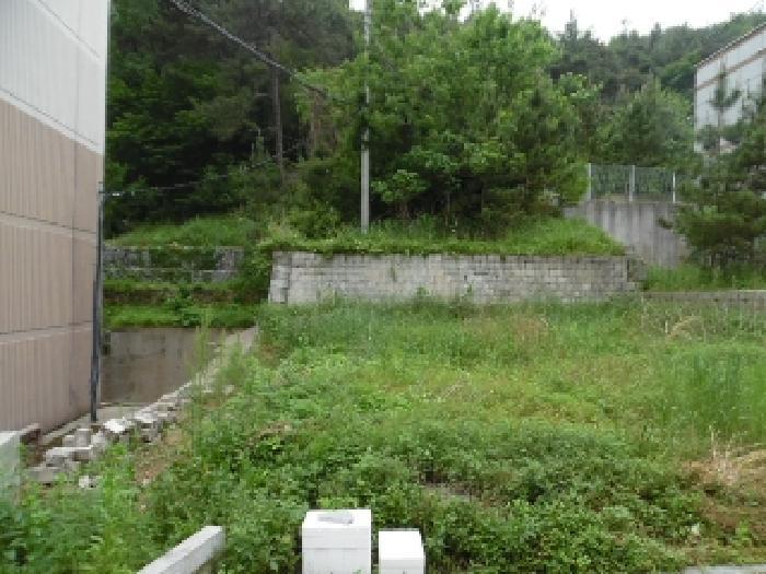 전북특별자치도 전주시 완산구 평화동1가 593-33 임야 경매 사진 9