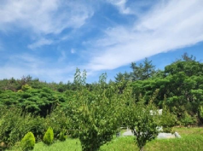 전라남도 여수시 묘도동 855-15 임야 경매 사진 20