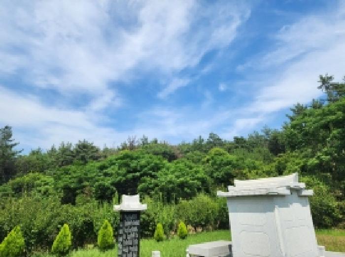 전라남도 여수시 묘도동 855-15 임야 경매 사진 21