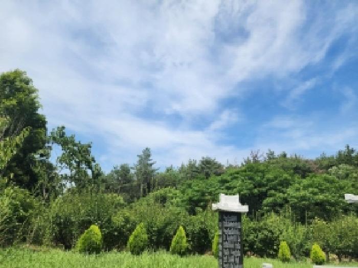 전라남도 여수시 묘도동 855-15 임야 경매 사진 9