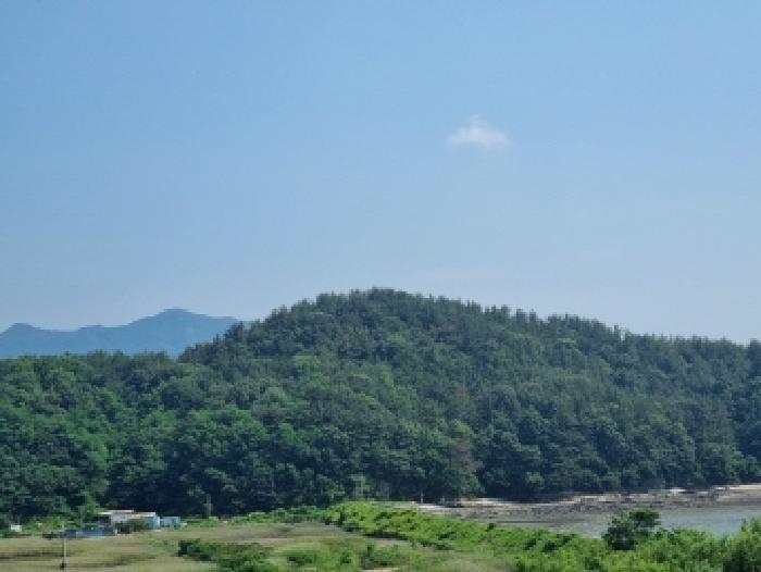 전라남도 여수시 율촌면 산수리 산229-1 임야 경매 사진 27