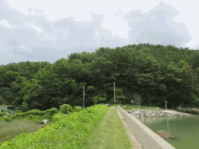 전라남도 여수시 율촌면 산수리 산229-1 임야 경매 사진 6