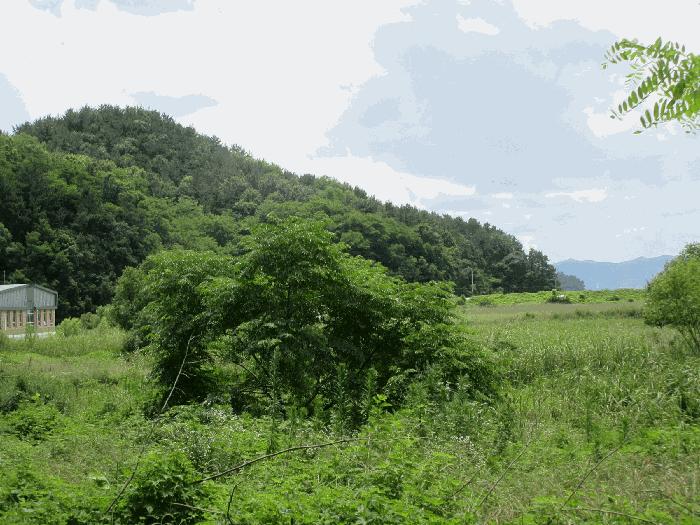 전라남도 여수시 율촌면 조화리 498-22 임야 경매 사진 1