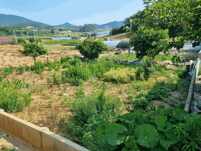 전라남도 고흥군 금산면 신촌리 497-6 전 경매 사진 4