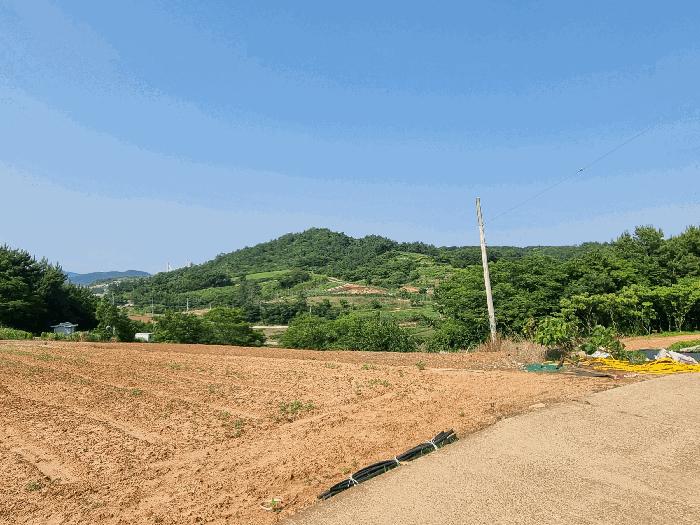전라남도 고흥군 금산면 신촌리 497-6 전 경매 사진 6