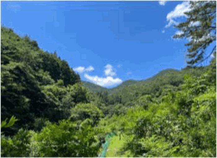 전라남도 순천시 임야