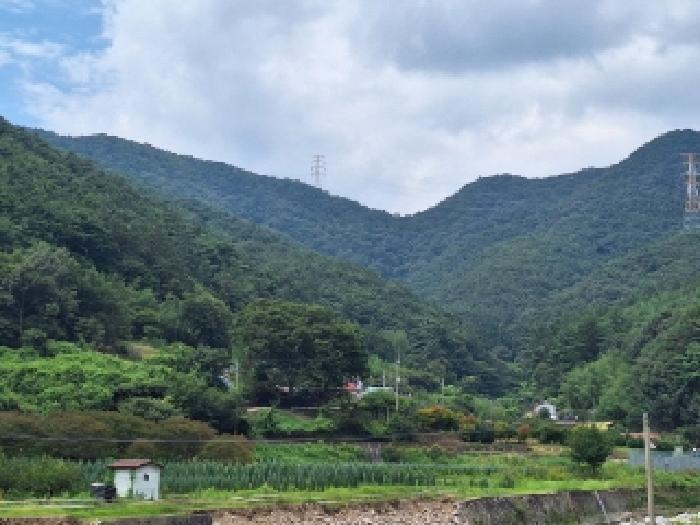 전라남도 순천시 서면 판교리 산208 임야 경매 사진 8