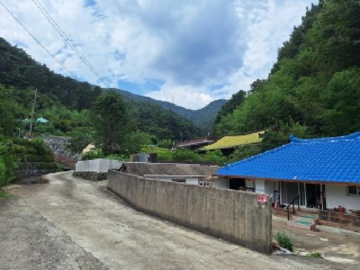 전라남도 순천시 서면 판교리 산186 임야 경매 사진 5