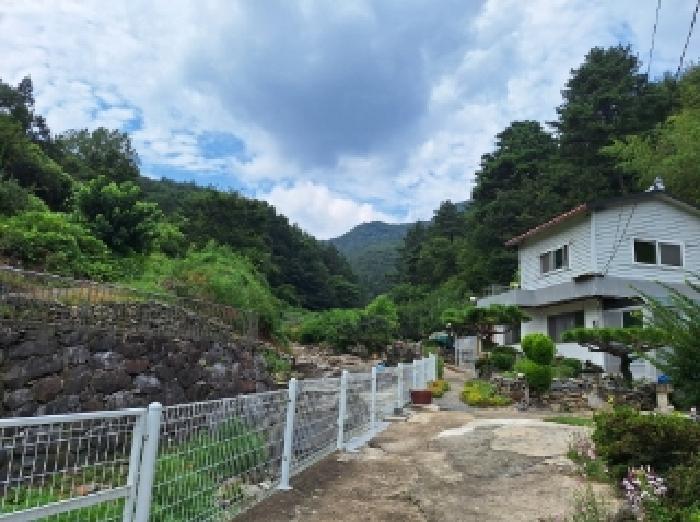 전라남도 순천시 서면 판교리 산186 임야 경매 사진 6