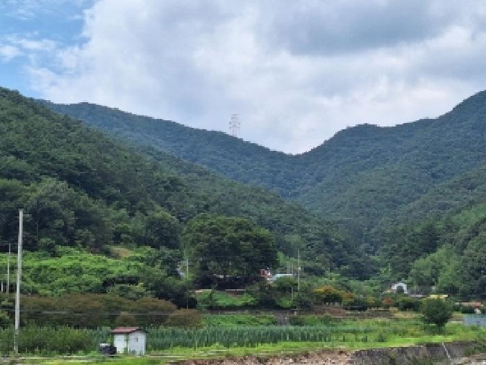 전라남도 순천시 서면 판교리 산186 임야 경매 사진 7