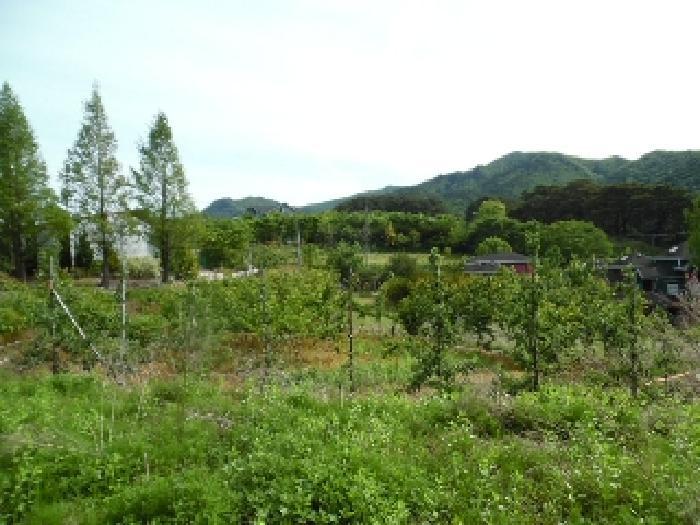 전북특별자치도 무주군 설천면 심곡리 660-3 답 경매 사진 5