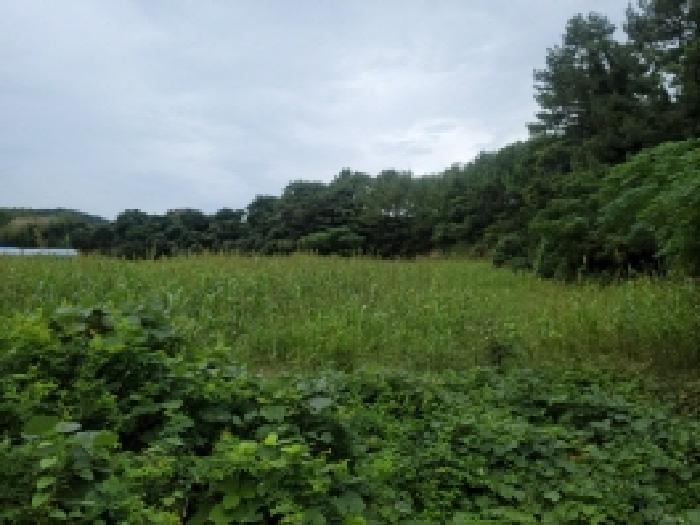 전라남도 고흥군 금산면 석정리 1463-1 답 경매 사진 22