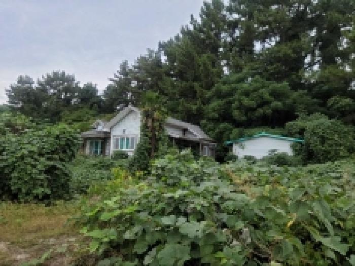 전라남도 고흥군 금산면 석정리 1463-1 답 경매 사진 33