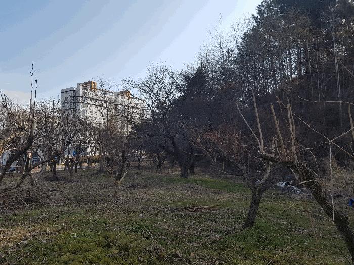 경상남도 사천시 사천읍 정의리 74-4 전 경매 사진 2