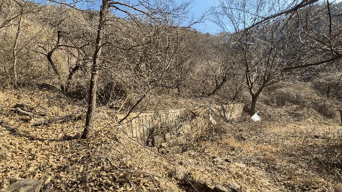 경상남도 진주시 명석면 신기리 594 전 경매 사진 2
