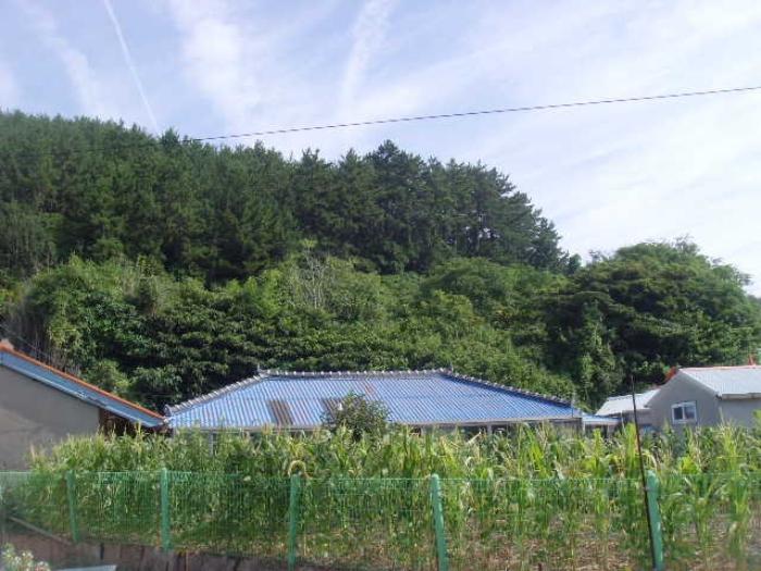 전라남도 완도군 약산면 우두리 1027-1 전 경매 사진 21