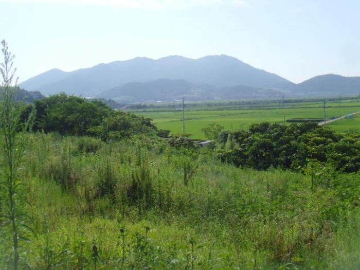 전라남도 완도군 약산면 우두리 1027-1 전 경매 사진 22