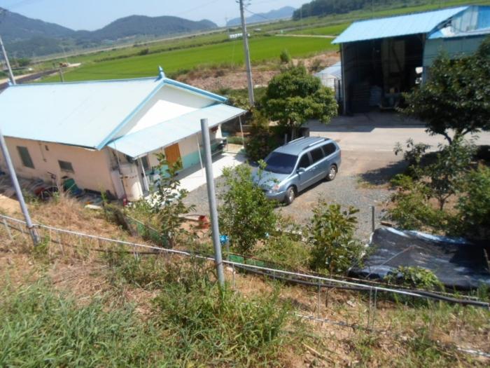 전라남도 완도군 약산면 우두리 1027-1 전 경매 사진 3