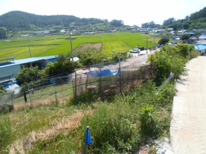 전라남도 완도군 약산면 우두리 1027-1 전 경매 사진 9