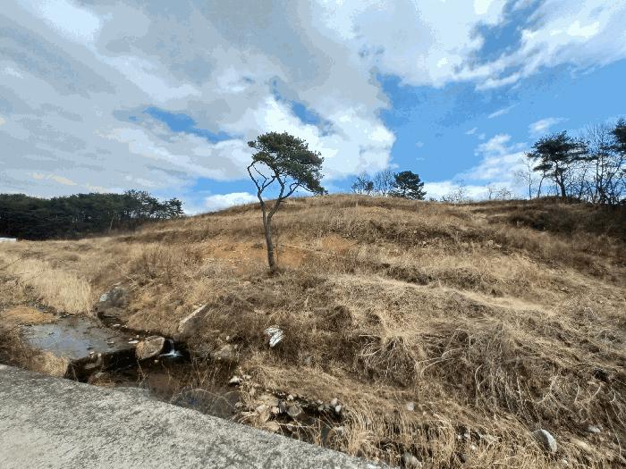 경상남도 산청군 단성면 입석리 369 임야 경매 사진 1