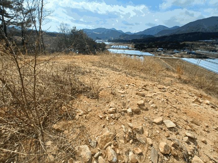 경상남도 산청군 단성면 입석리 369 임야 경매 사진 5