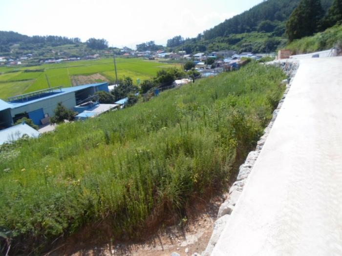 전라남도 완도군 전