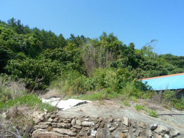 전라남도 완도군 약산면 우두리 1238 전 경매 사진 12
