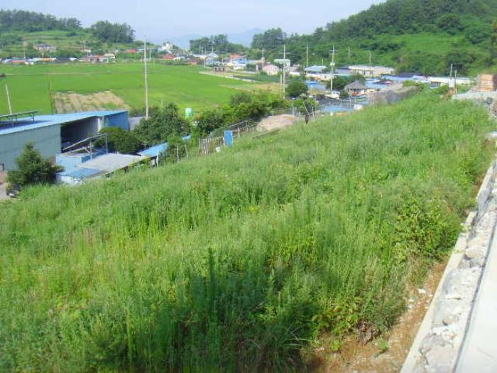 전라남도 완도군 약산면 우두리 1238 전 경매 사진 16