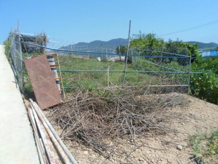 전라남도 완도군 약산면 우두리 1238 전 경매 사진 2