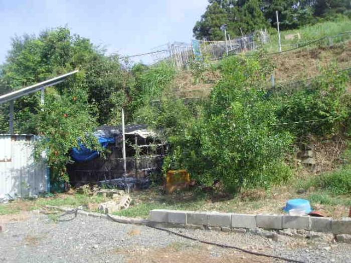 전라남도 완도군 약산면 우두리 1238 전 경매 사진 20